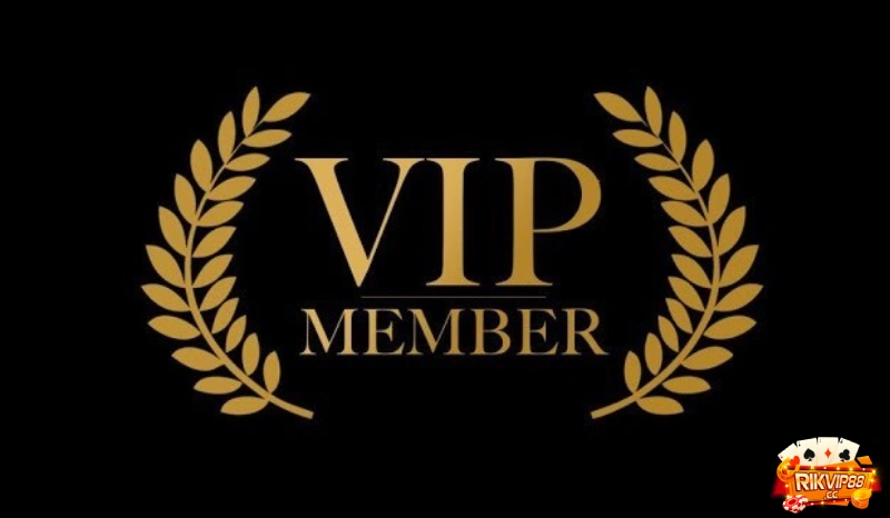 Đôi nét về thành viên VIP