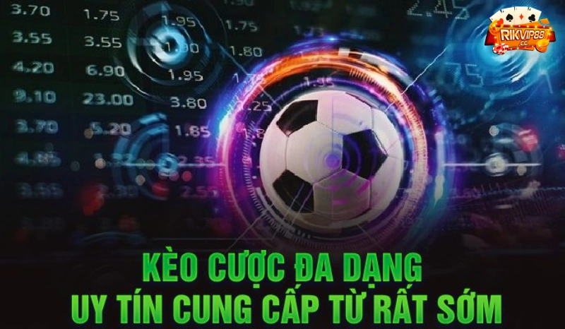 Sức hút hấp dẫn của sảnh cược